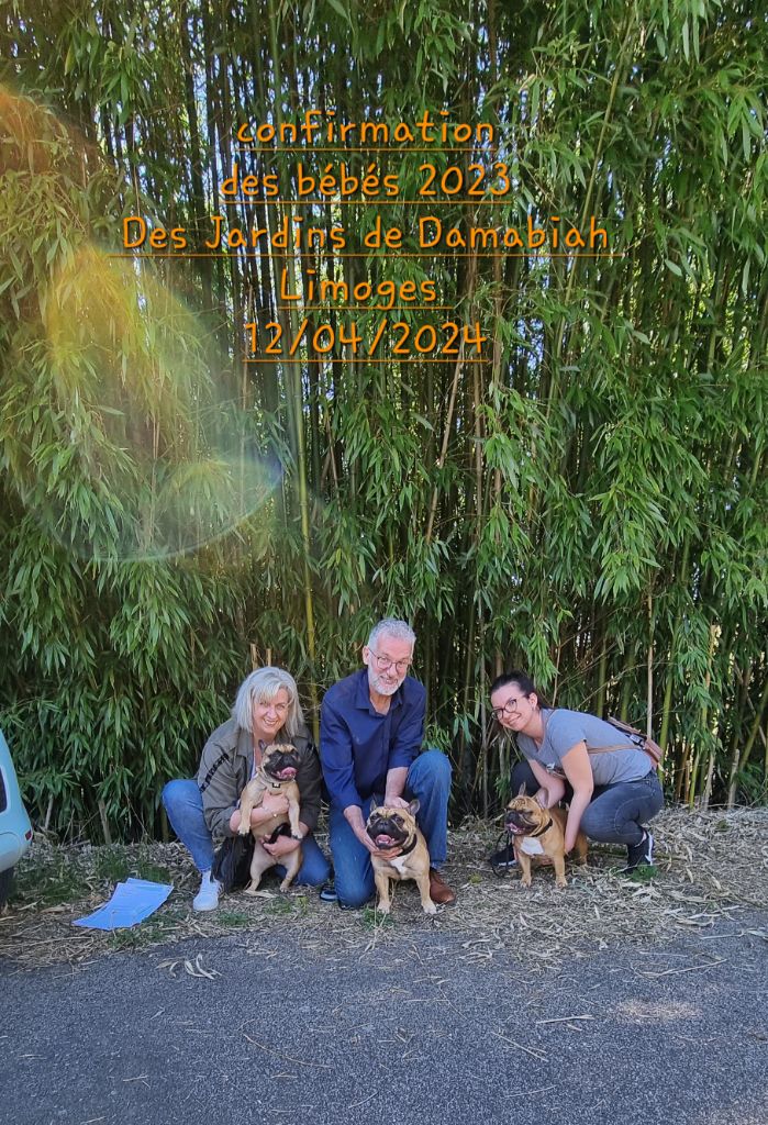 Des Jardins De Damabiah - Confirmation 